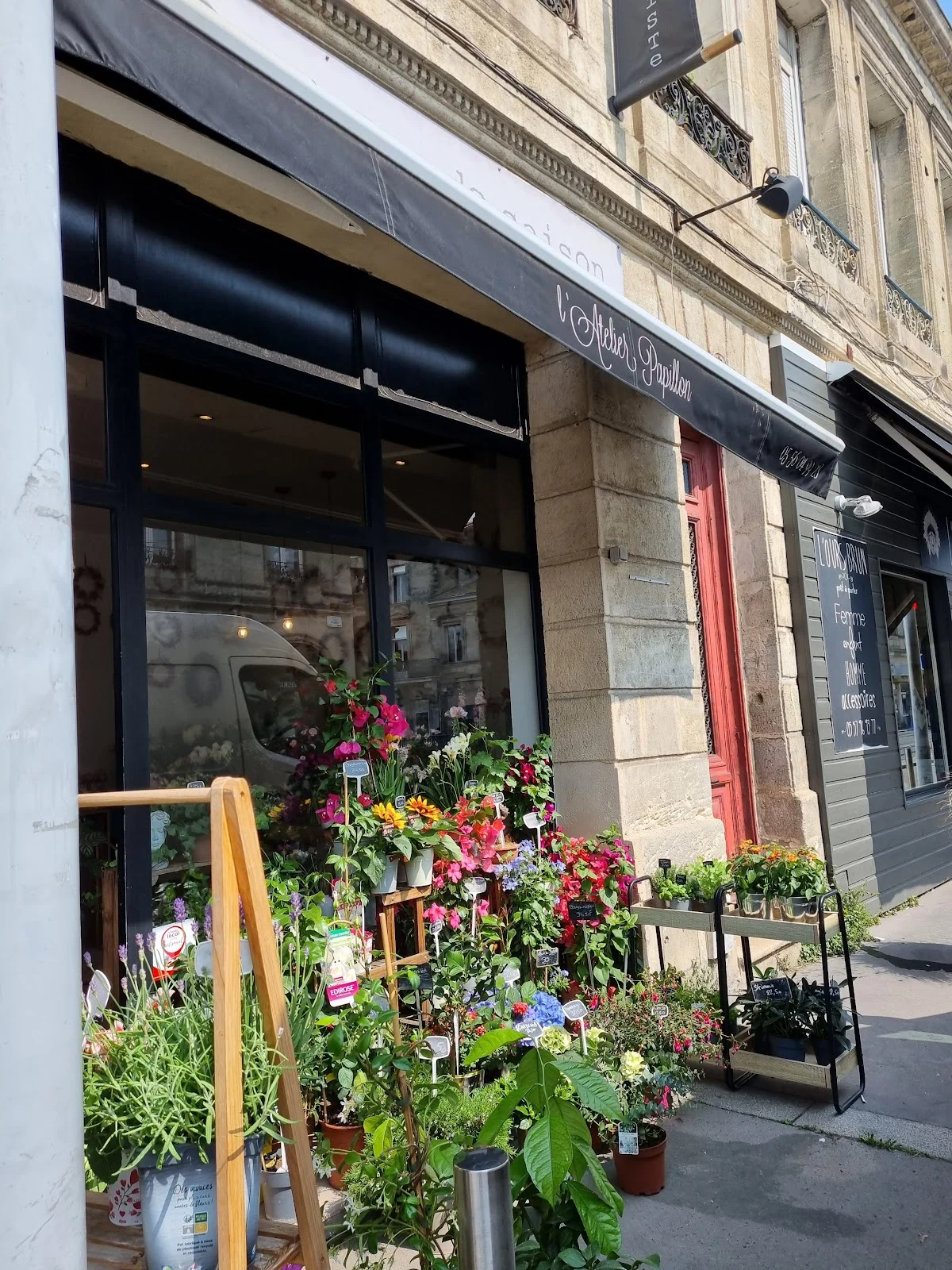 L'atelier papillon : Fleuriste à Talence