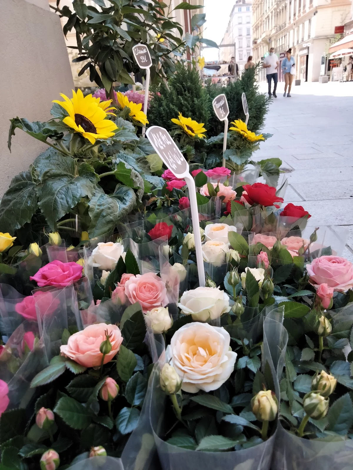 L'Atelier Vert, Artisan Fleuriste - 4