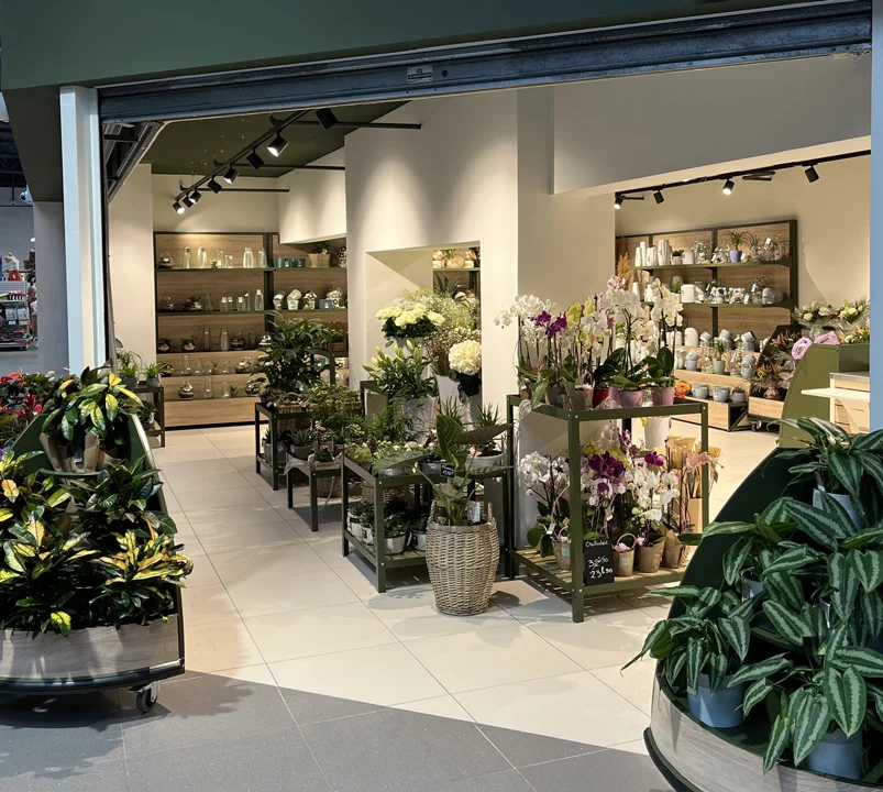 L'Attrape Fleurs - Fleuriste Montélimar - 2