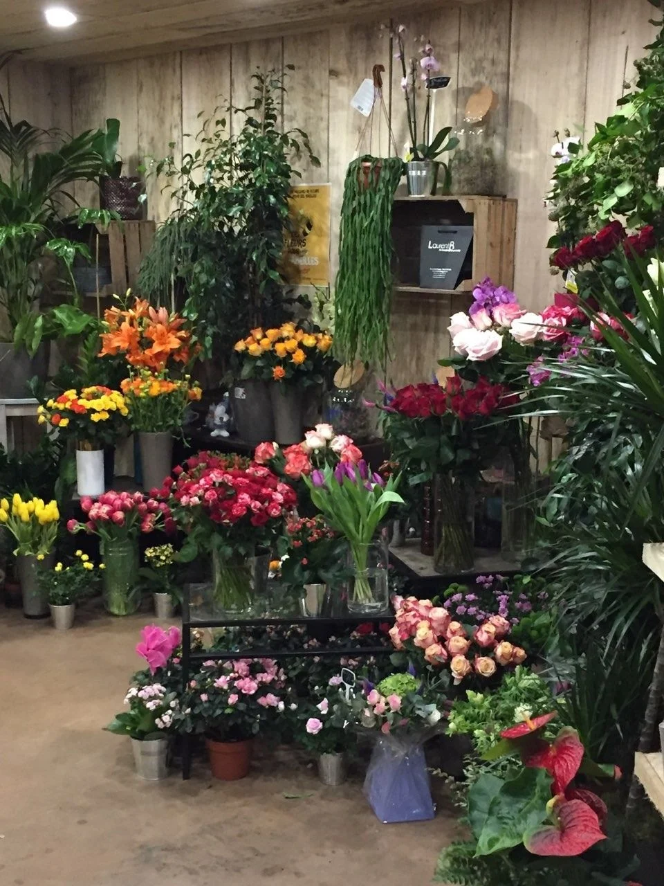 Laurent Bourgain Artisan Fleuriste - 5
