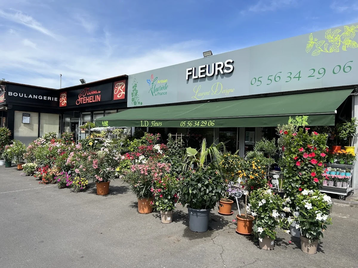 Laurent Devigne, Fleuriste Bordeaux Cauderan - 5