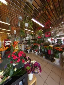 Lavande Fleurs - 4