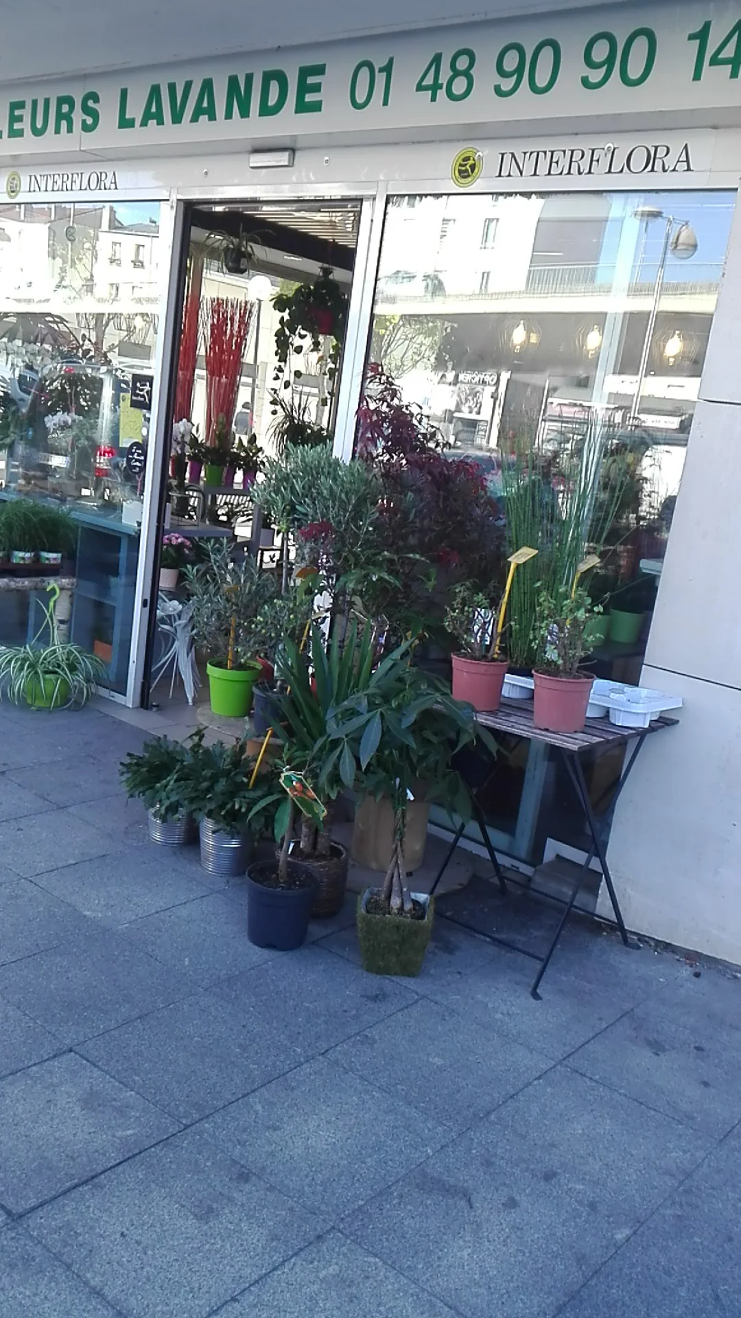 Lavande Fleurs