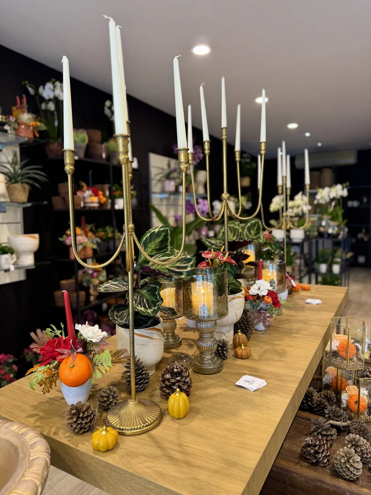 Lb Atelier Thonon - 3