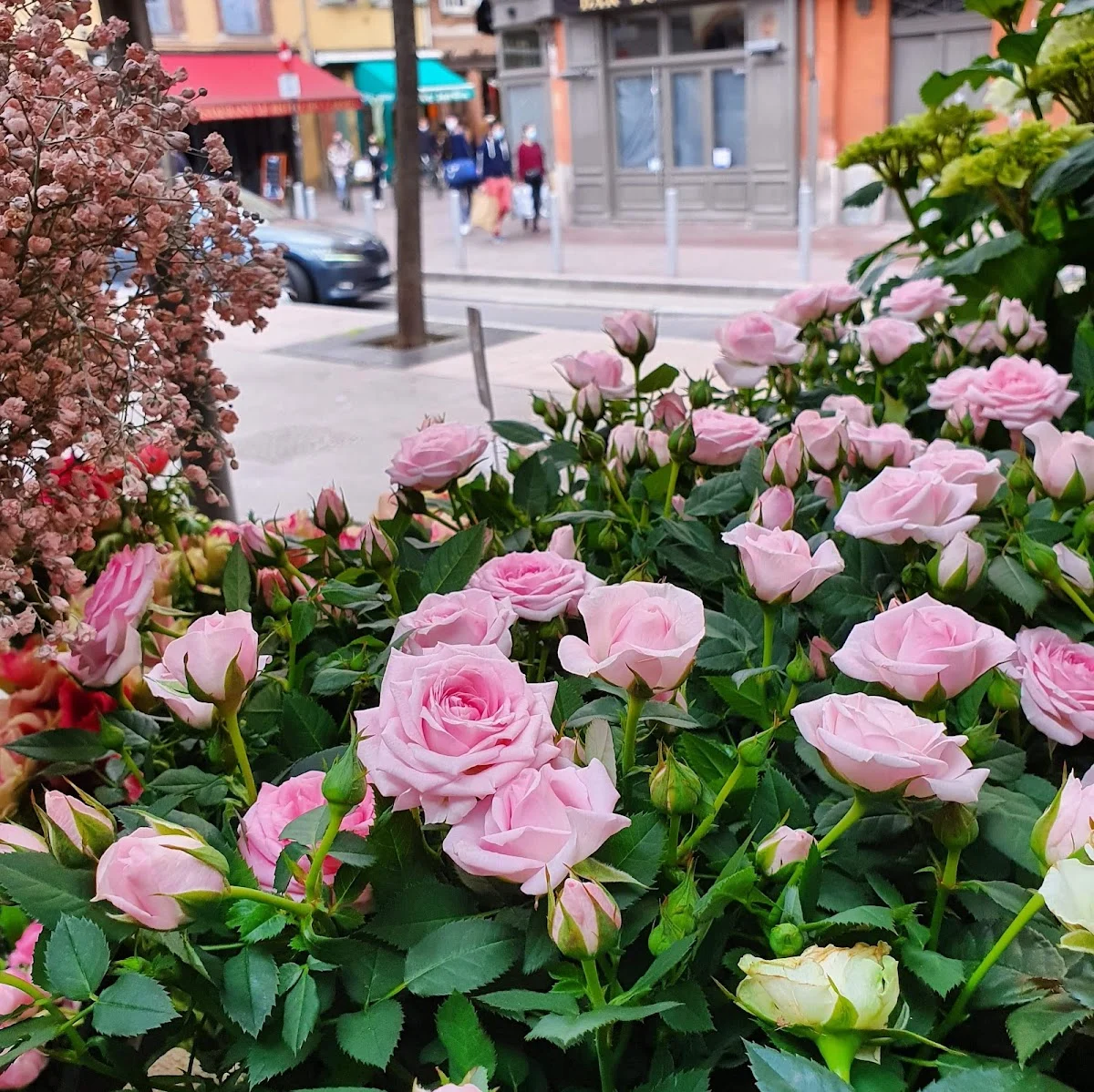 Le Bouquet Aromatique du Marché des Carmes - 4