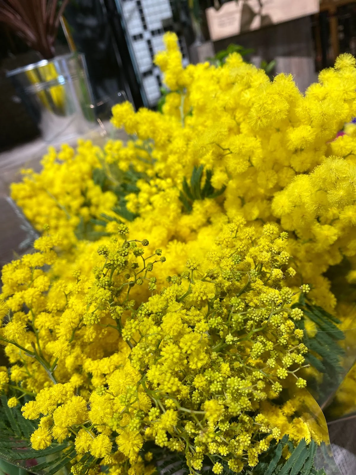 Le Chant des Fleurs - 2