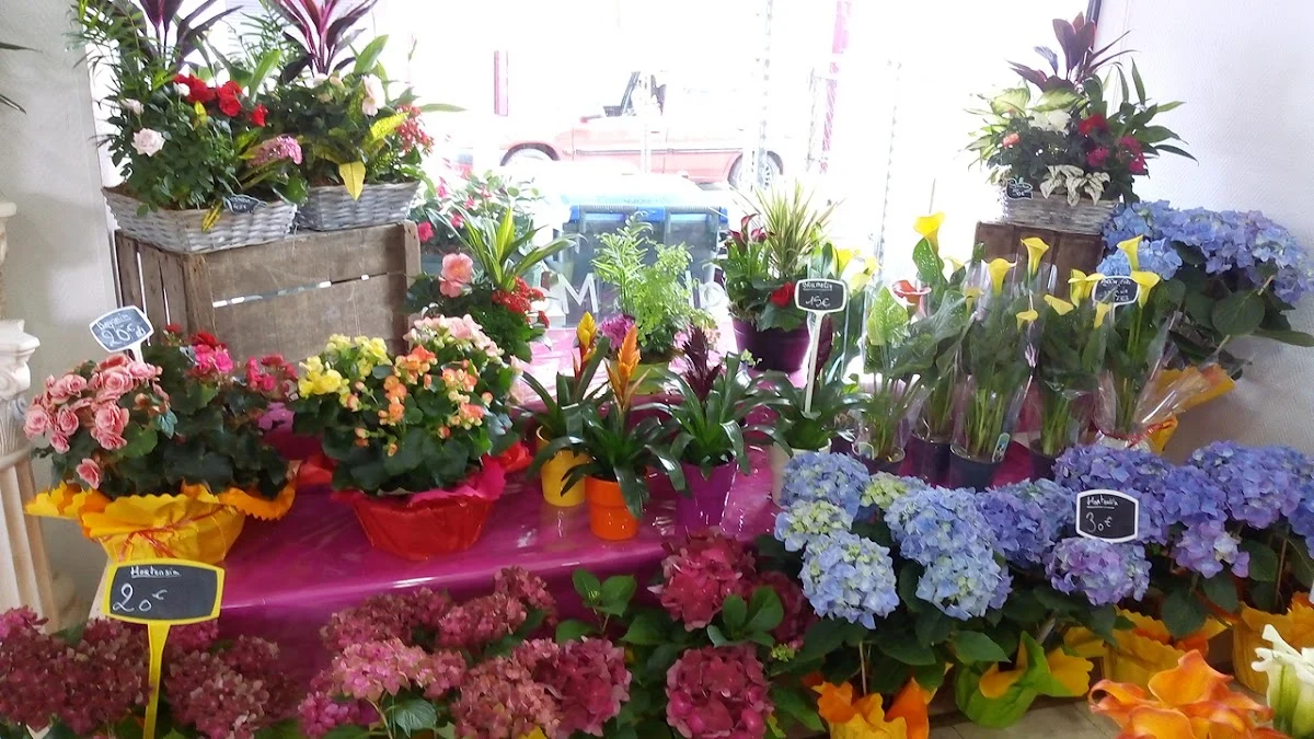 Le fleuriste du plateau - 3