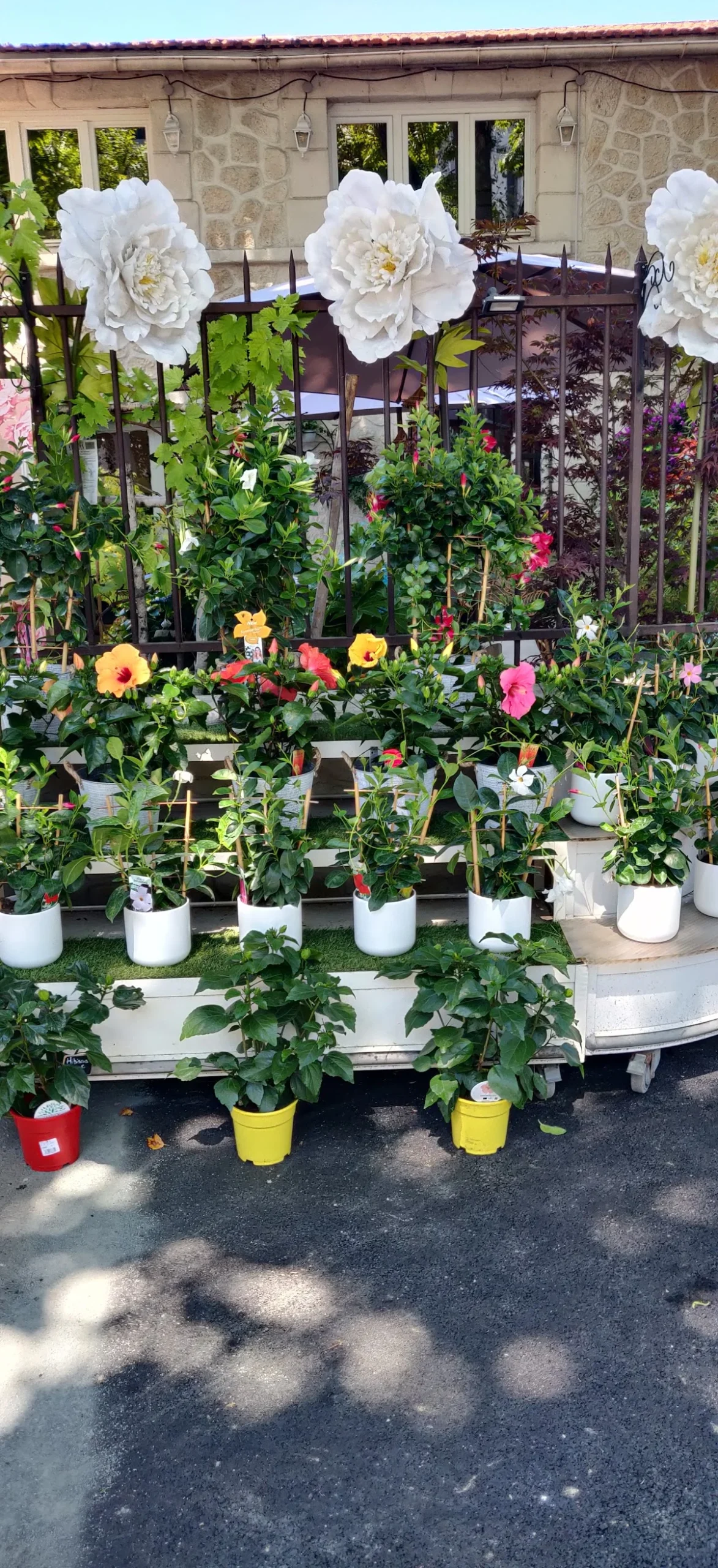 Le Jardin d'Amandine | Fleuriste Thiais - 3