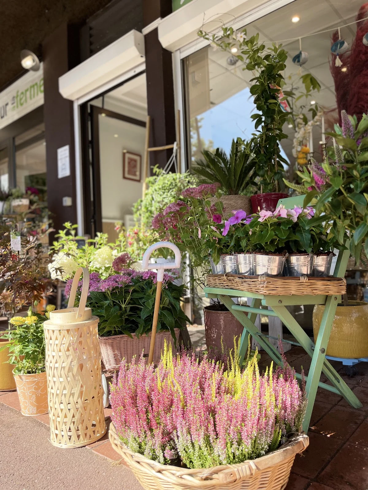 Le Jardin d’Apolline - 4
