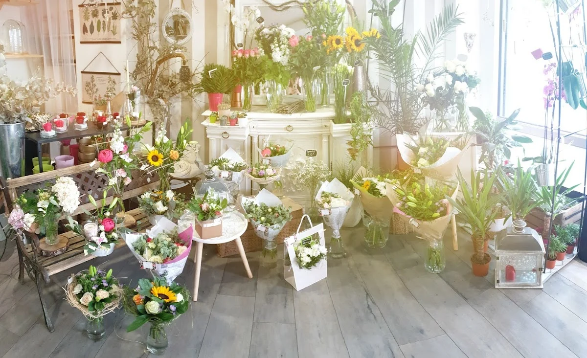 Le jardin de Mima - 2