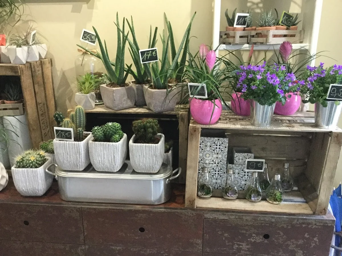 Le Jardin de Nila - 2