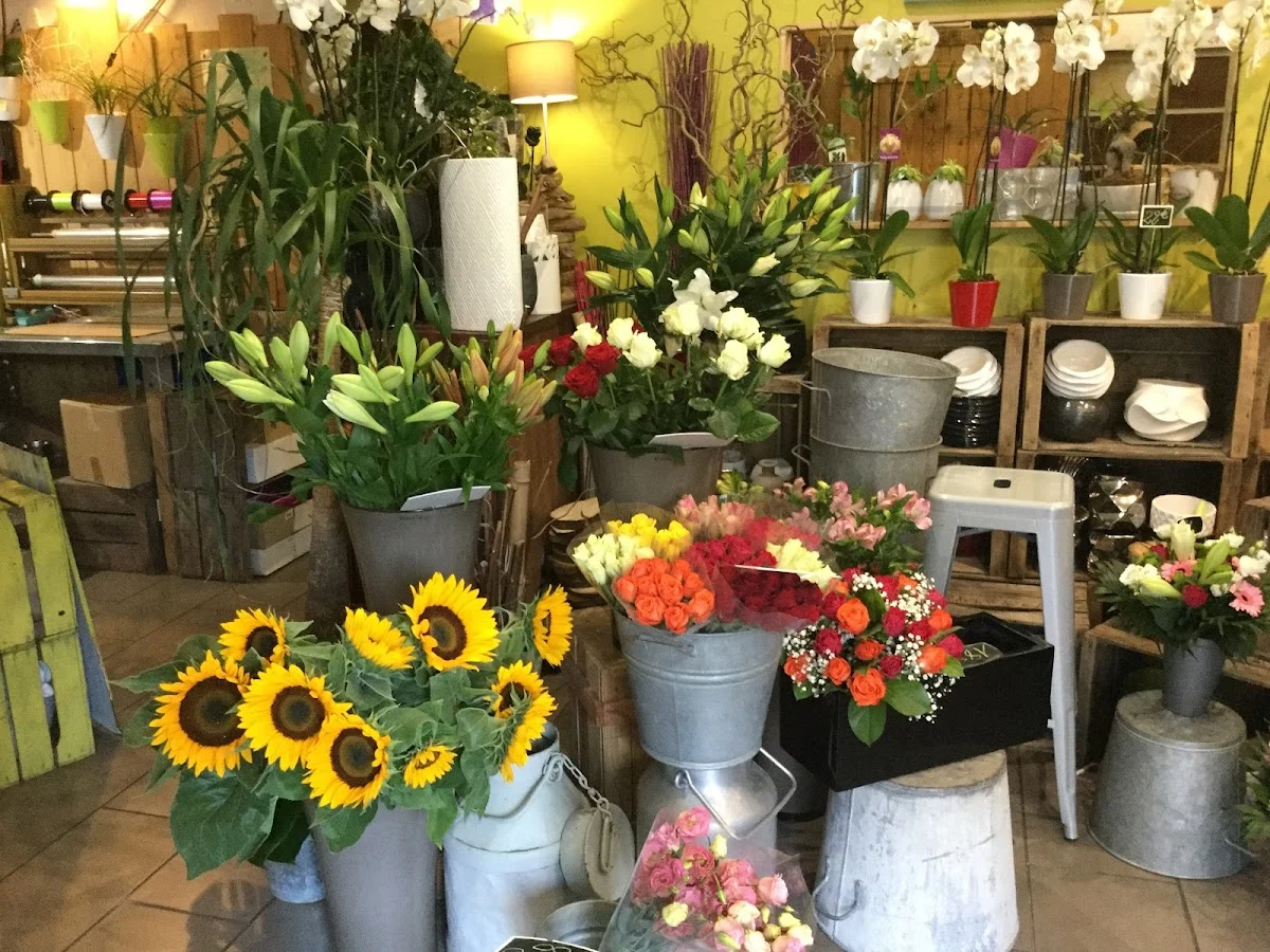 Le Jardin de Nila - 4