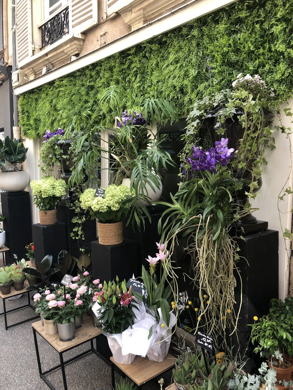 Le jardin de Suzanne - 3