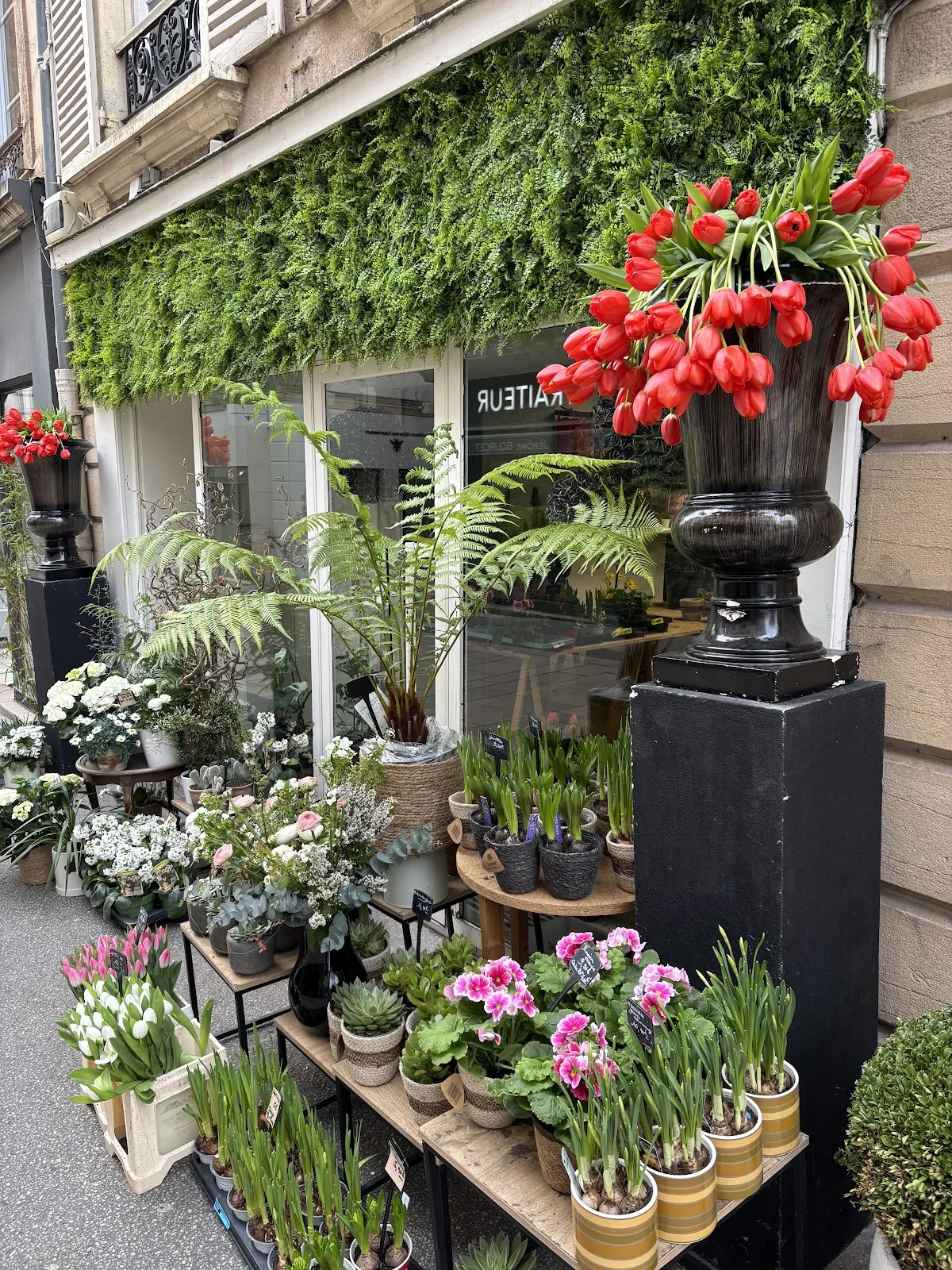 Le jardin de Suzanne - 5