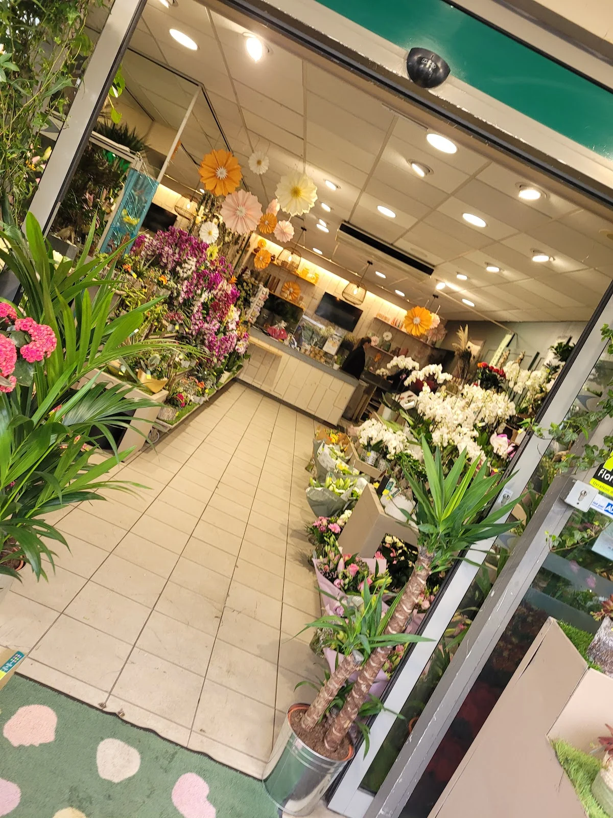 Le Jardin des Fleurs - 2