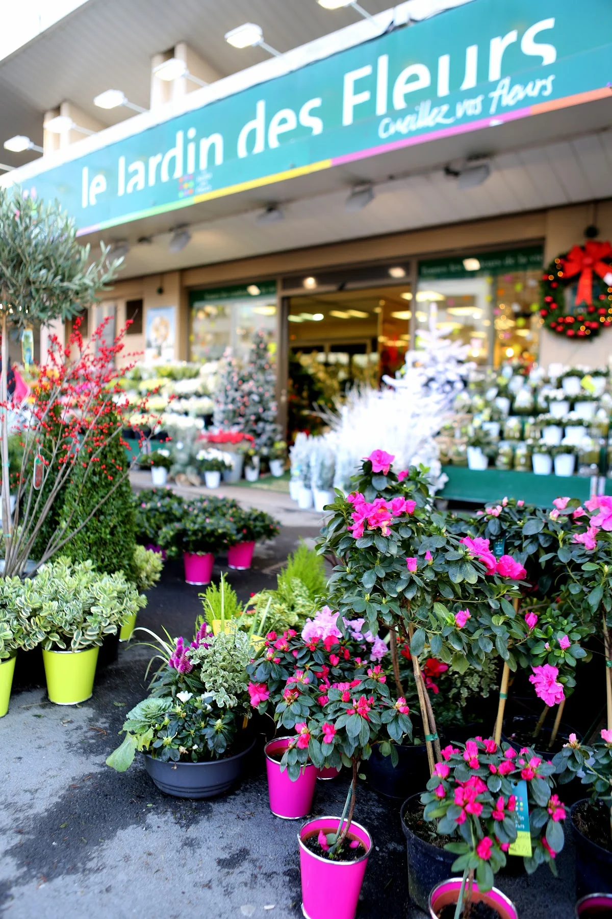 Le Jardin des Fleurs - 3