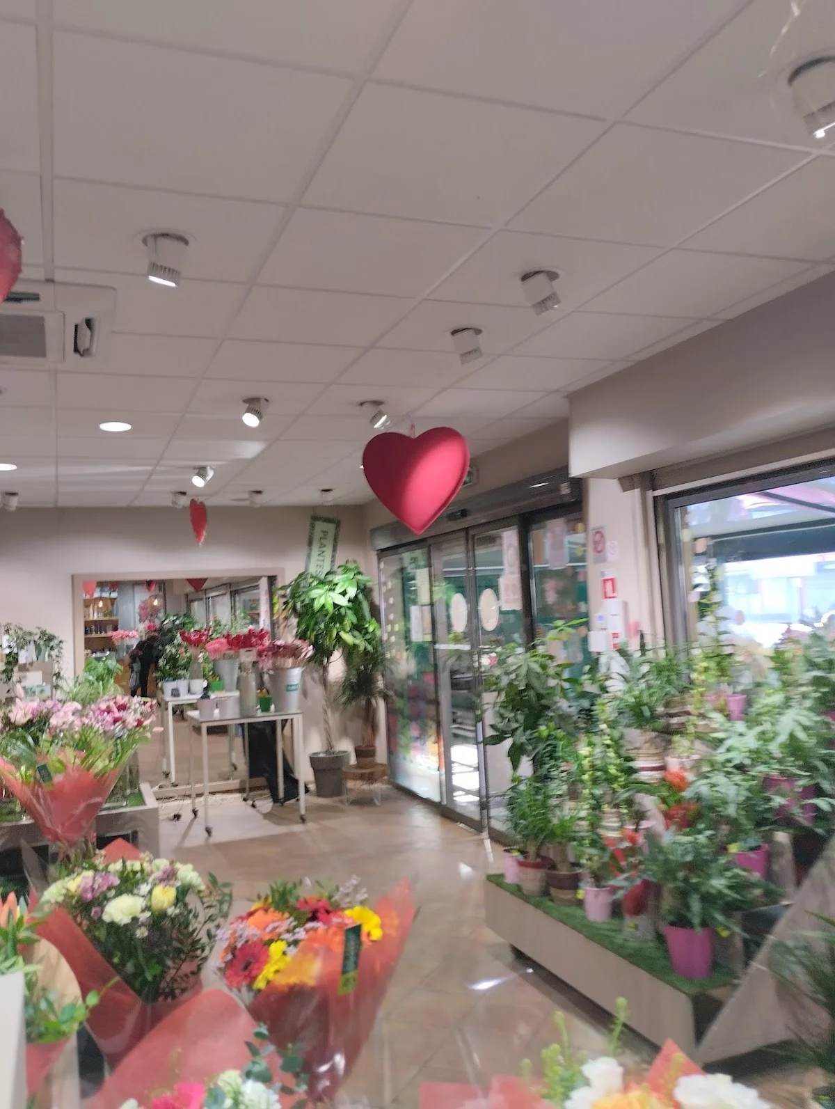 Le Jardin des Fleurs - 3