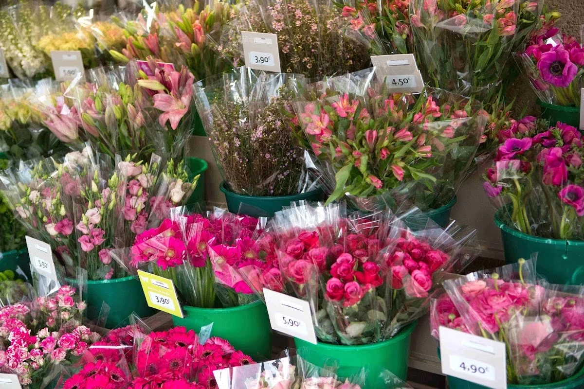 Le Jardin des Fleurs - 4