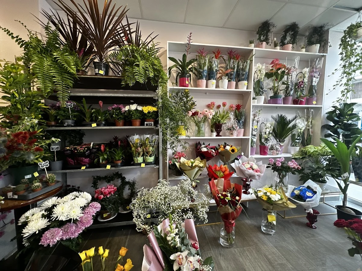 Le Jardin Des Merveilles - 5