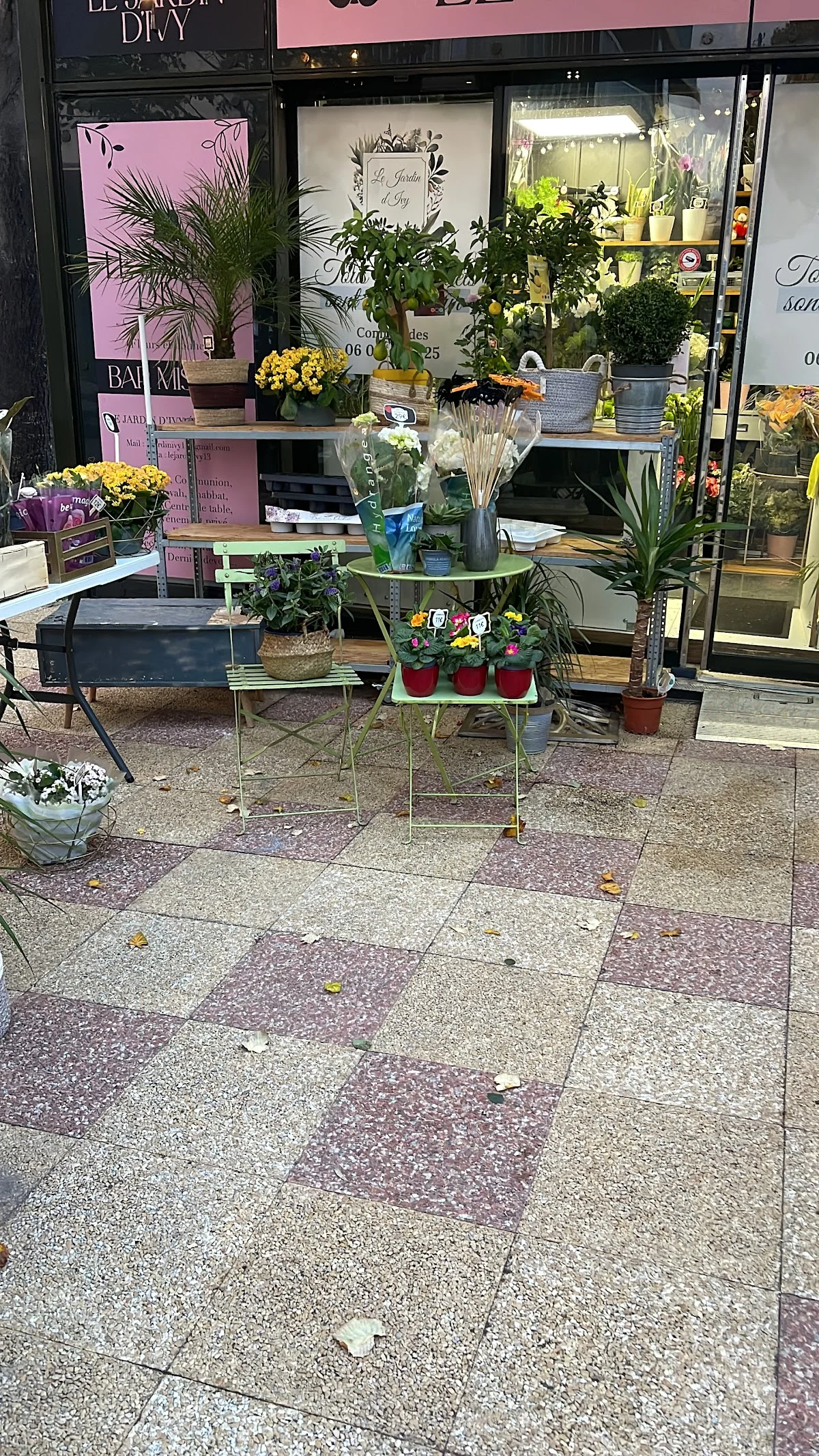Le Jardin d'Ivy - Création Botanique | Fleuriste Marseille - 3