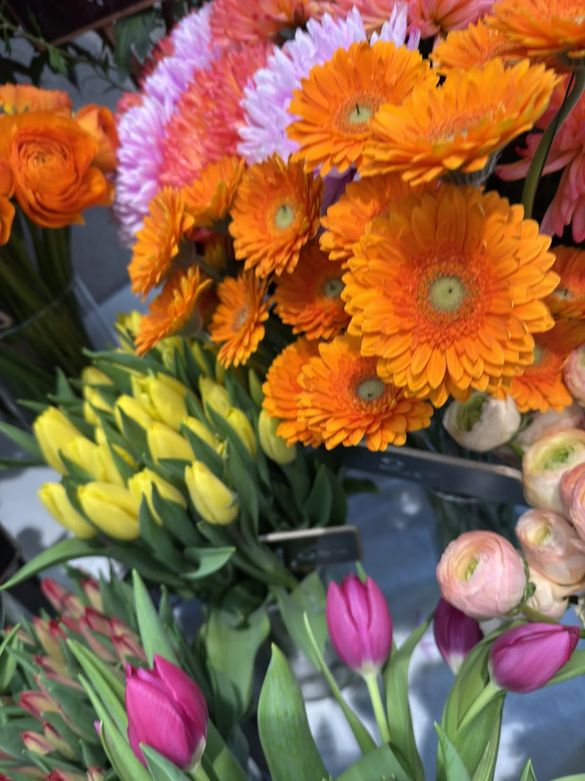 Le Lavandou Fleurs - 3