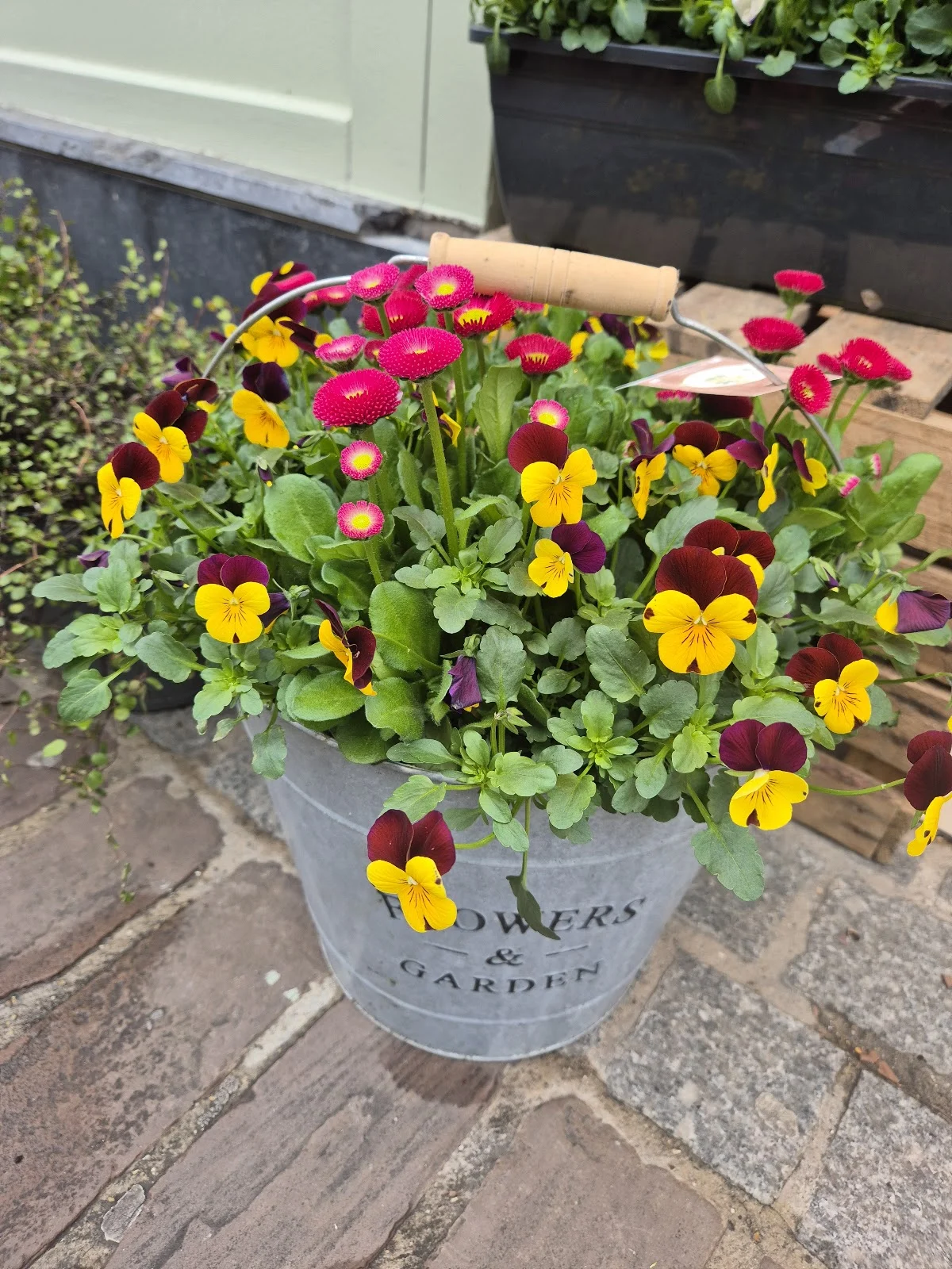LE Marais fleuri - 4