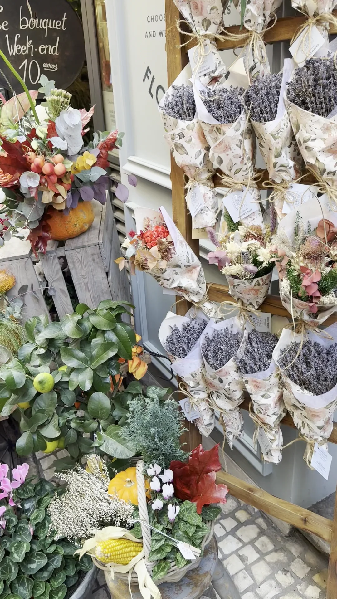 Le Marché Allard Fleurs | Fleuriste Antibes - 3