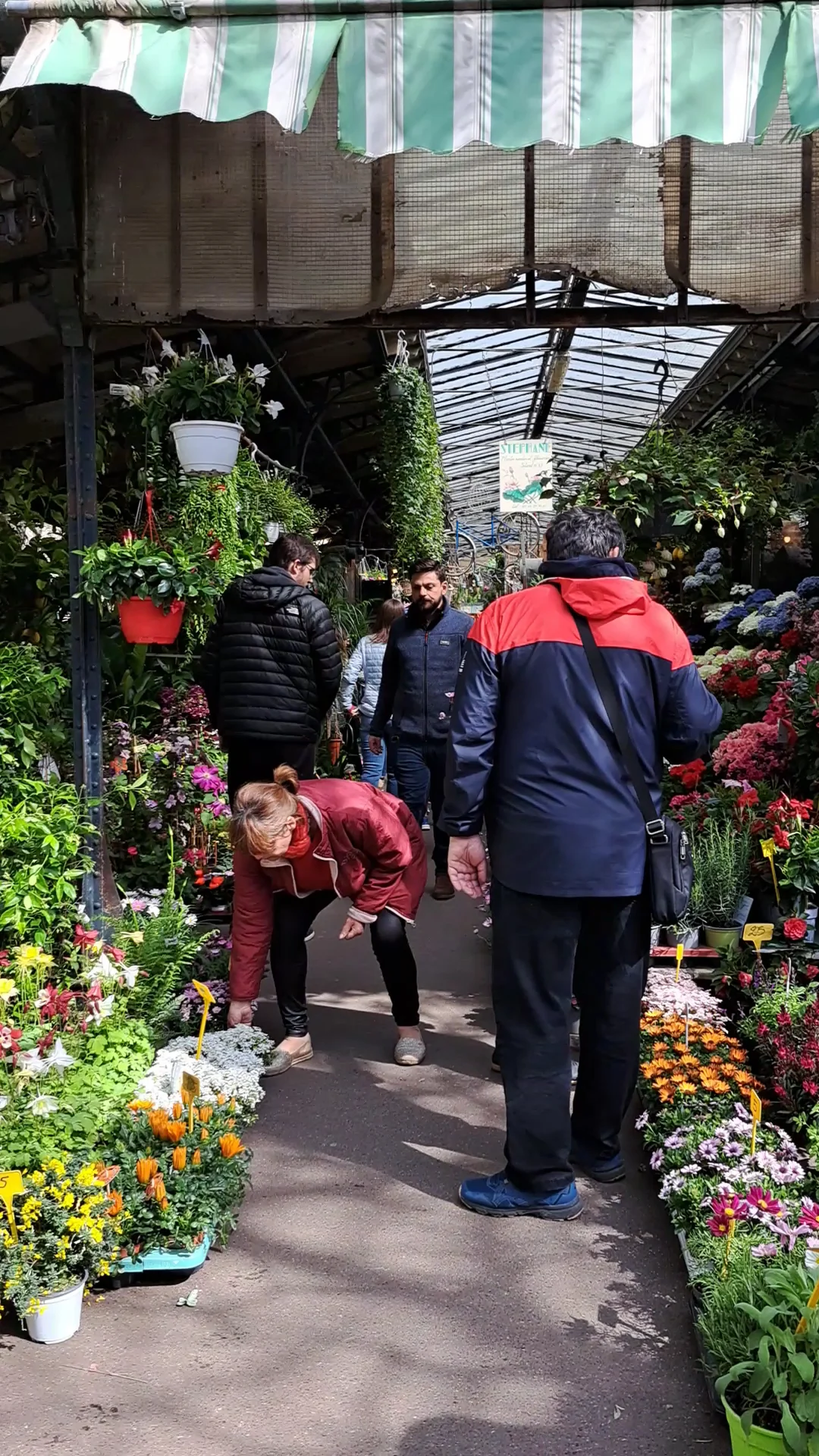 Le Marché aux Fleurs by Stéphane Bellot | Fleuriste Paris - 3
