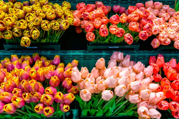 Le Marche Floral du 12EME - 2