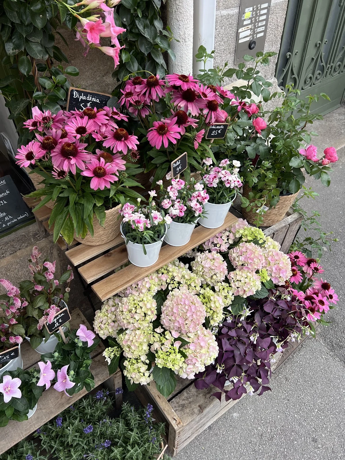 Le Naturel Fleuriste - Les Lices - 4