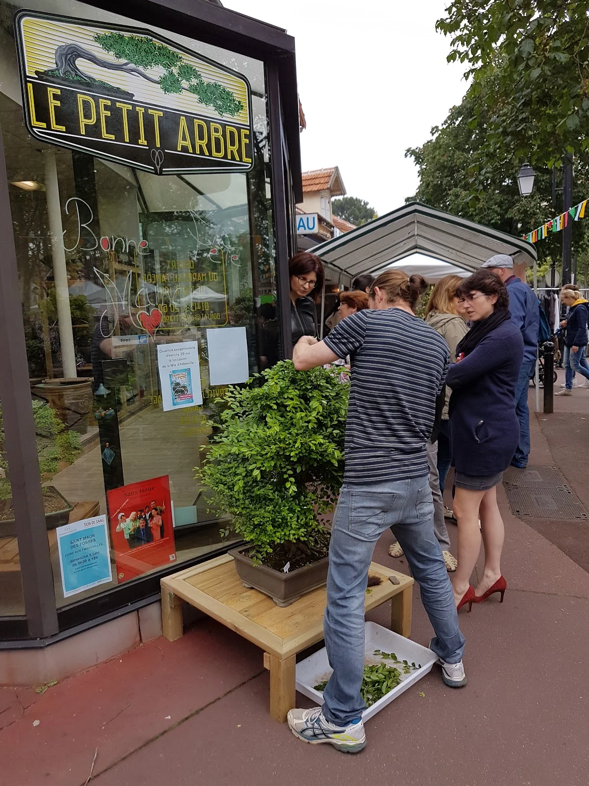Le Petit Arbre