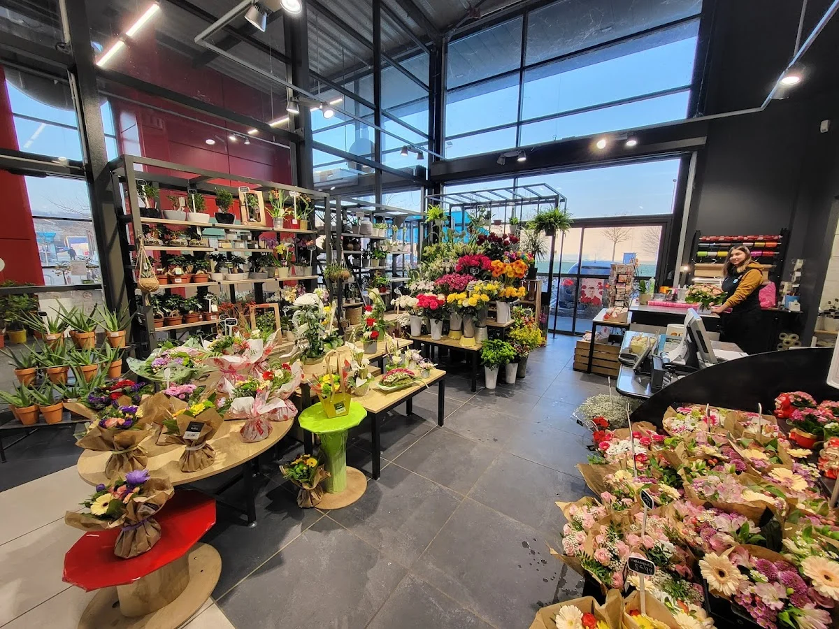 Le Studio des Fleurs