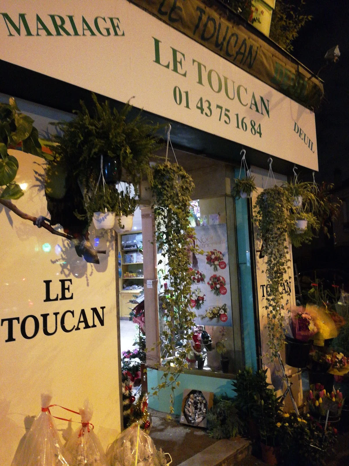 Le Toucan