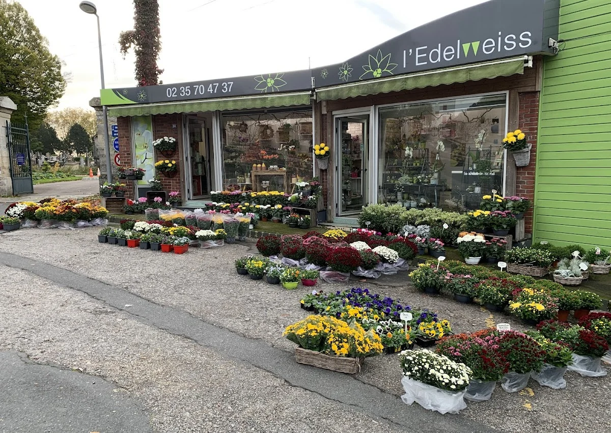 L'Edelweiss