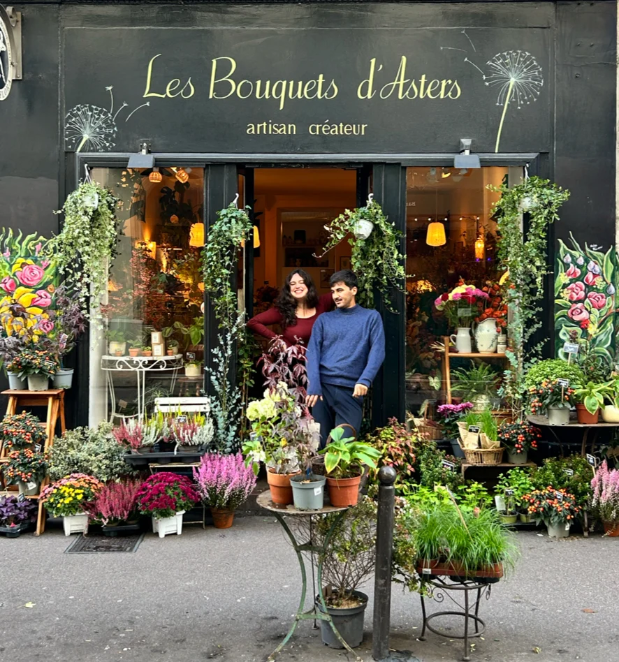 Les Bouquets D'Asters - 6