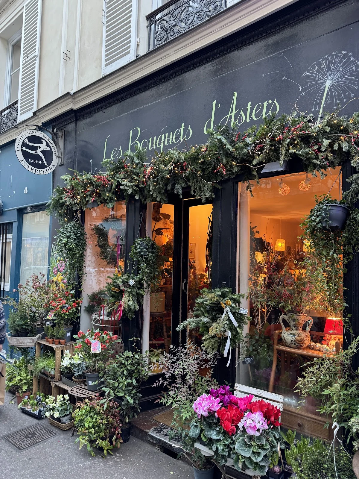 Les Bouquets D'Asters