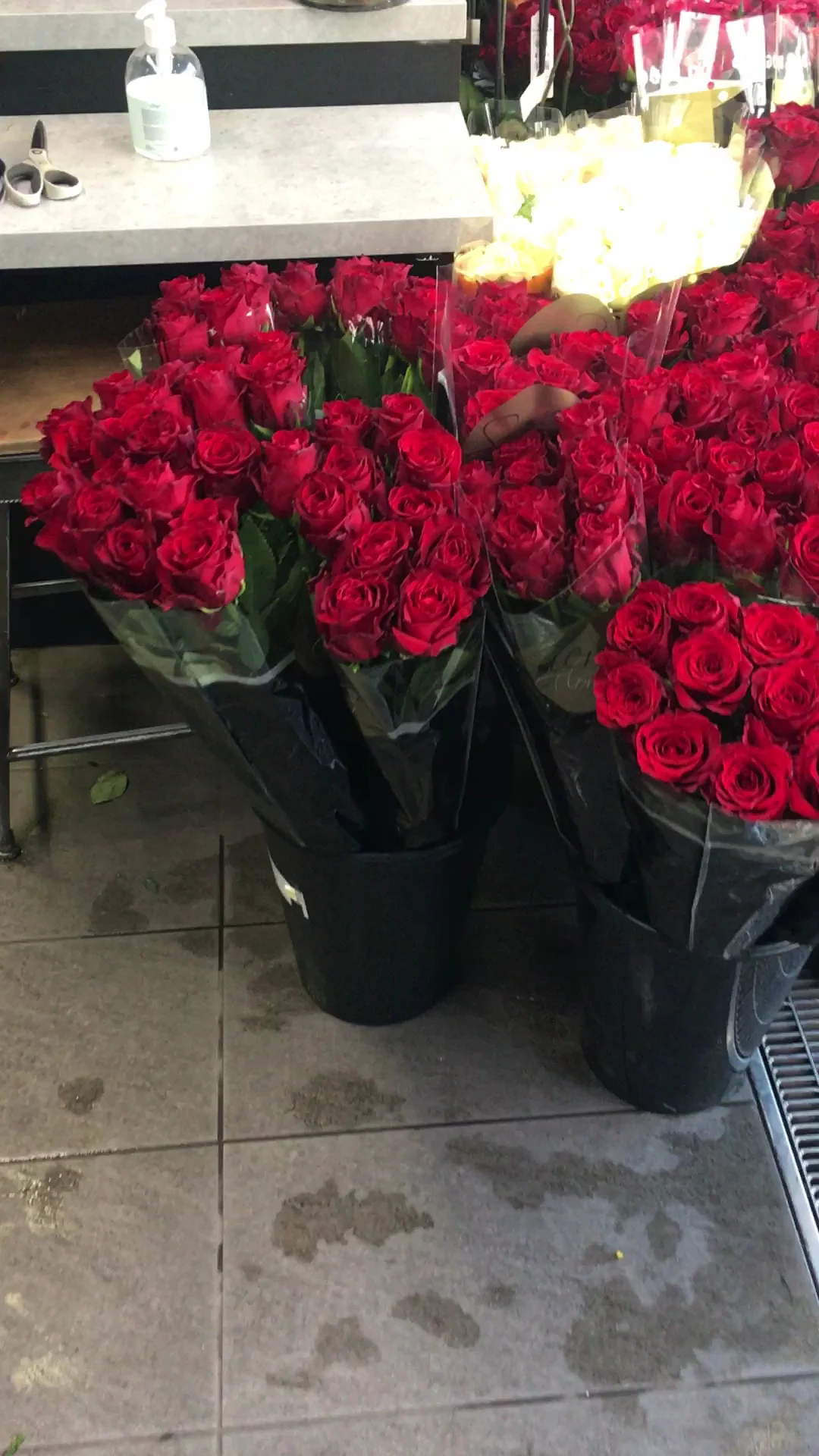 Les Fées Fleurs Argiolas Emilie - 3