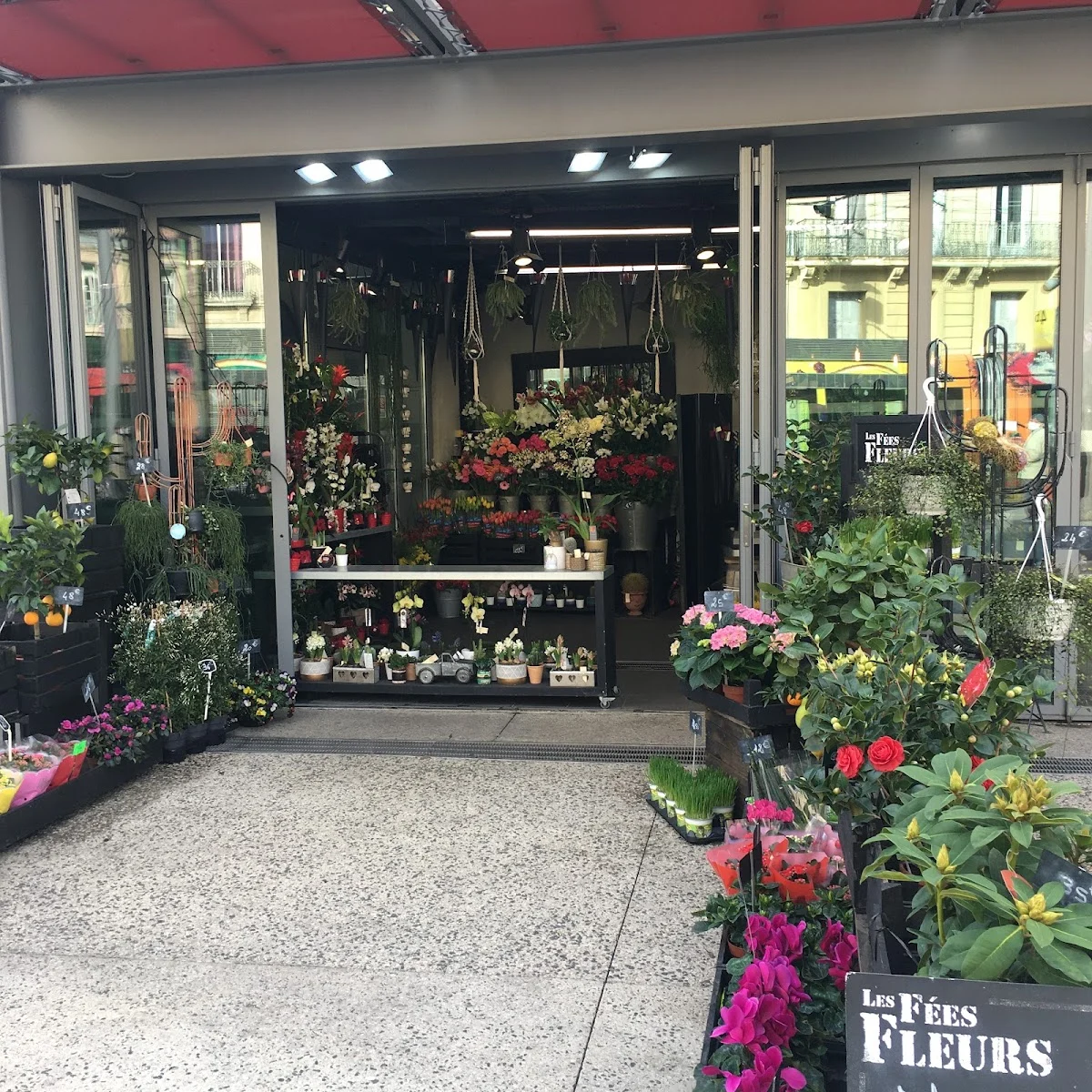 Les Fées Fleurs Argiolas Emilie - 6