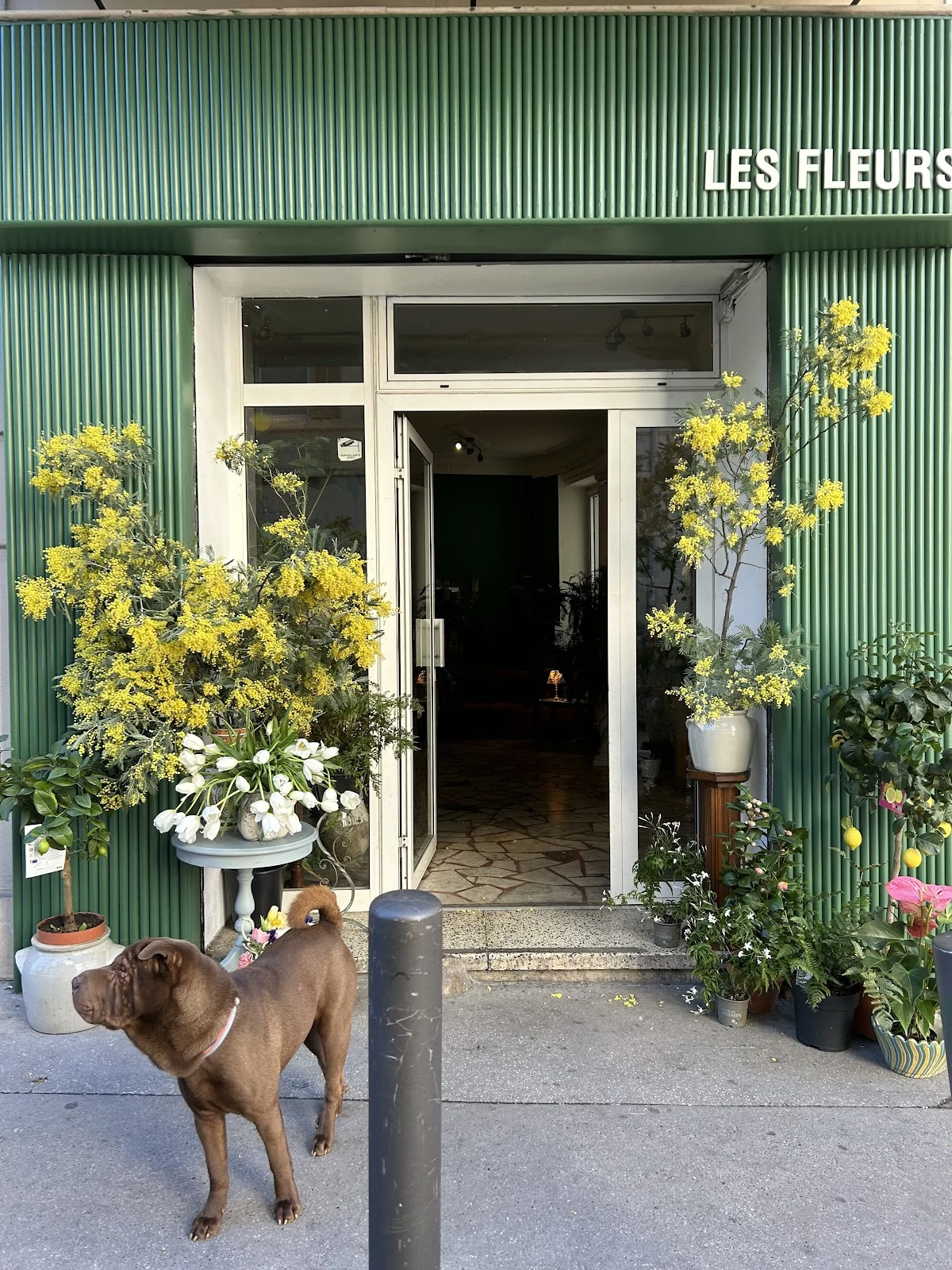 Les Fleurs - 4