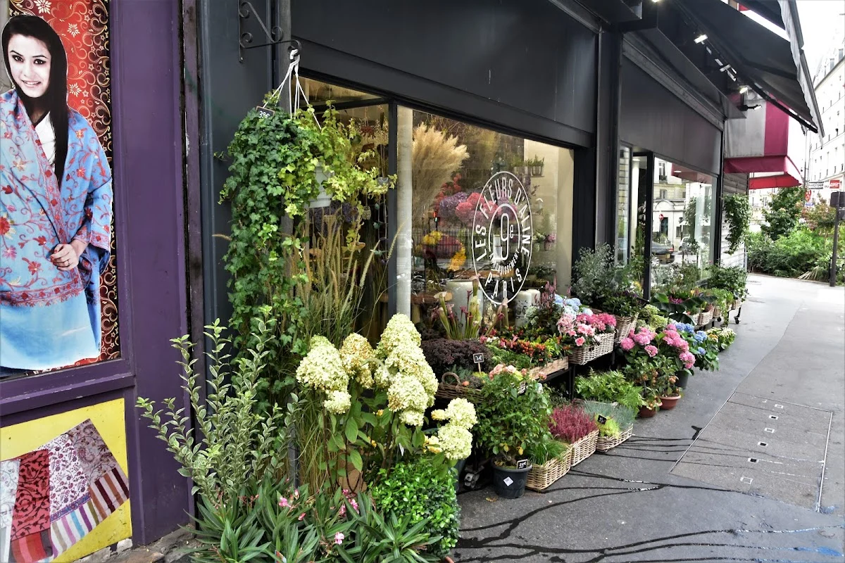 Les Fleurs d'Aline - 3