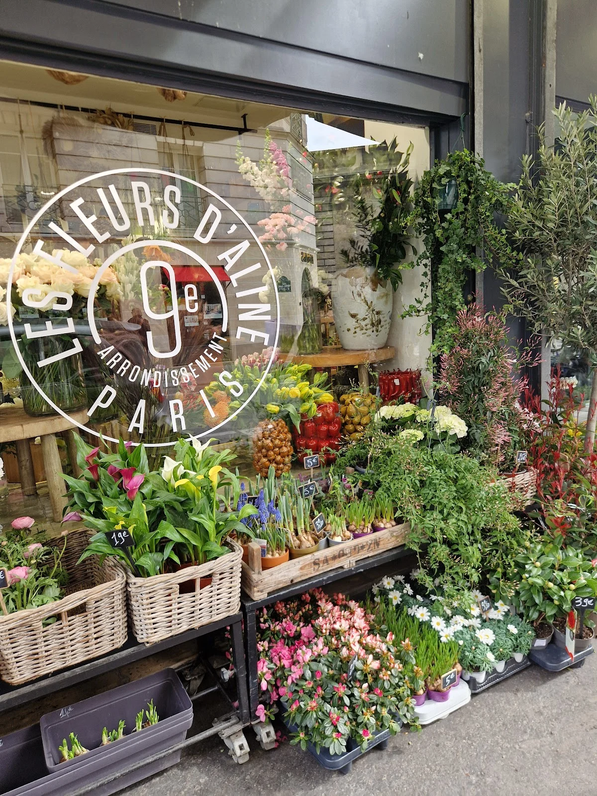 Les Fleurs d'Aline