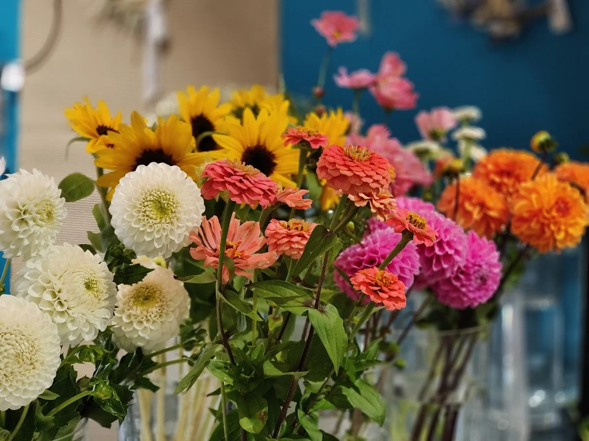 Les Fleurs d'Augustin - 3
