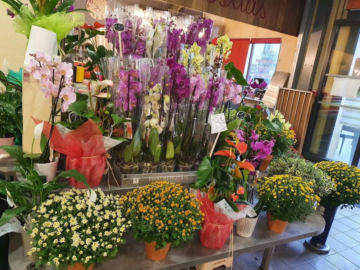 Les Fleurs de Bernadette - 3