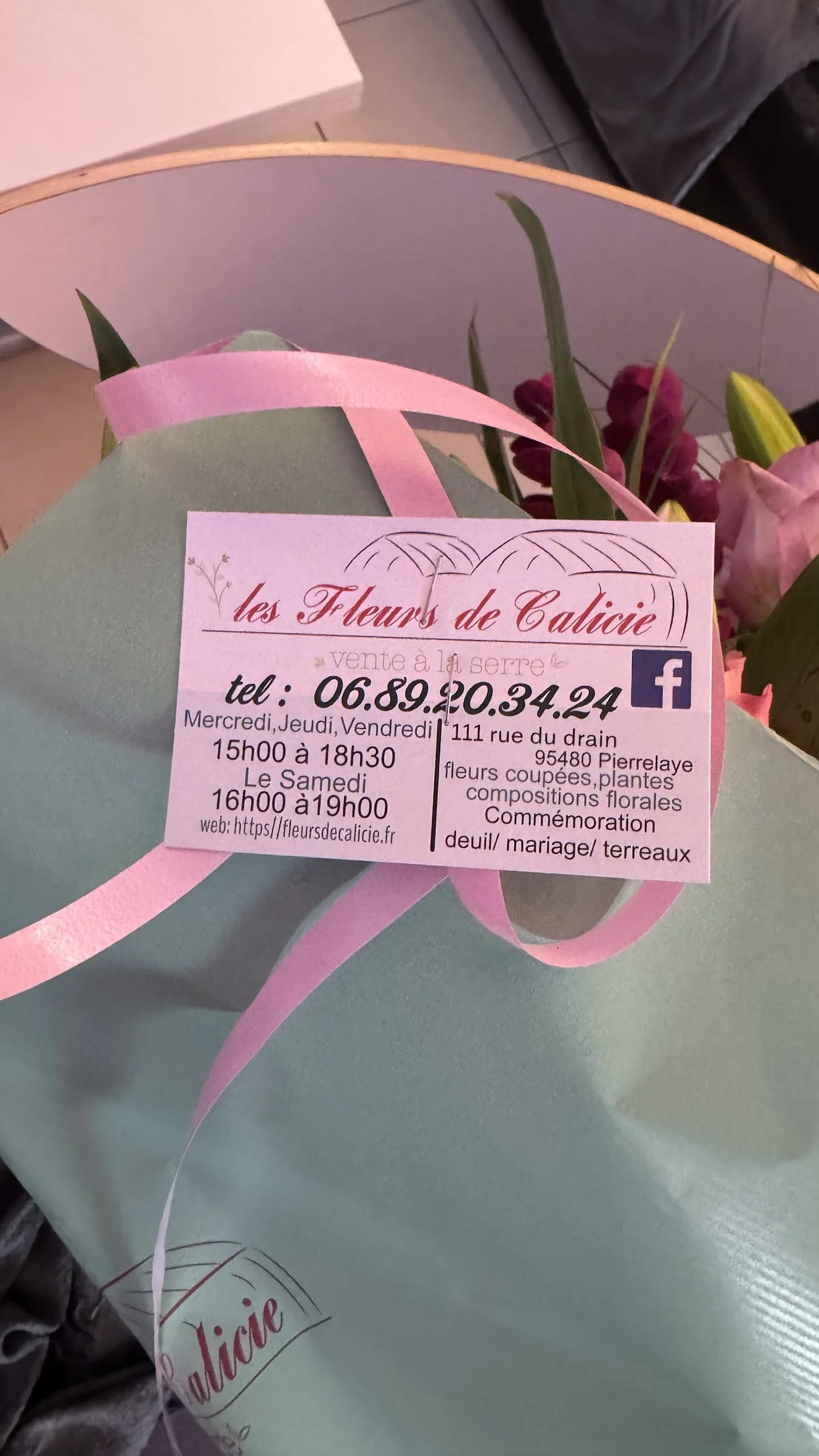 Les Fleurs De Calicie - 2