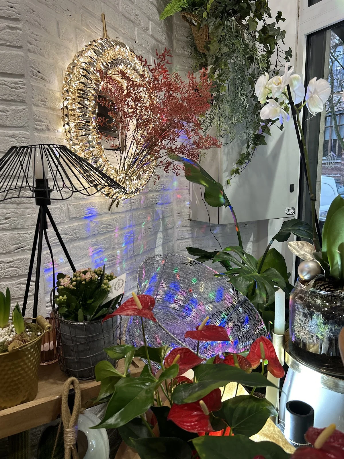 Les Fleurs de Caroline - 3