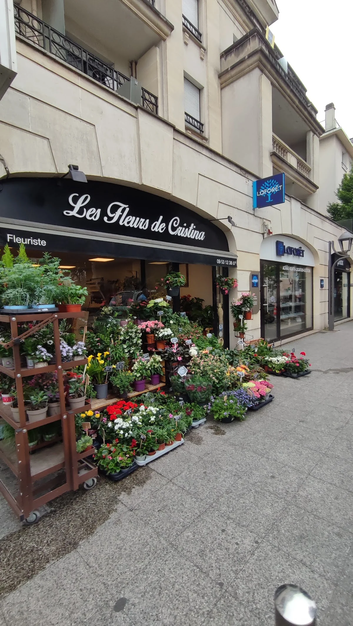 Les Fleurs de Cristina - Fleuriste