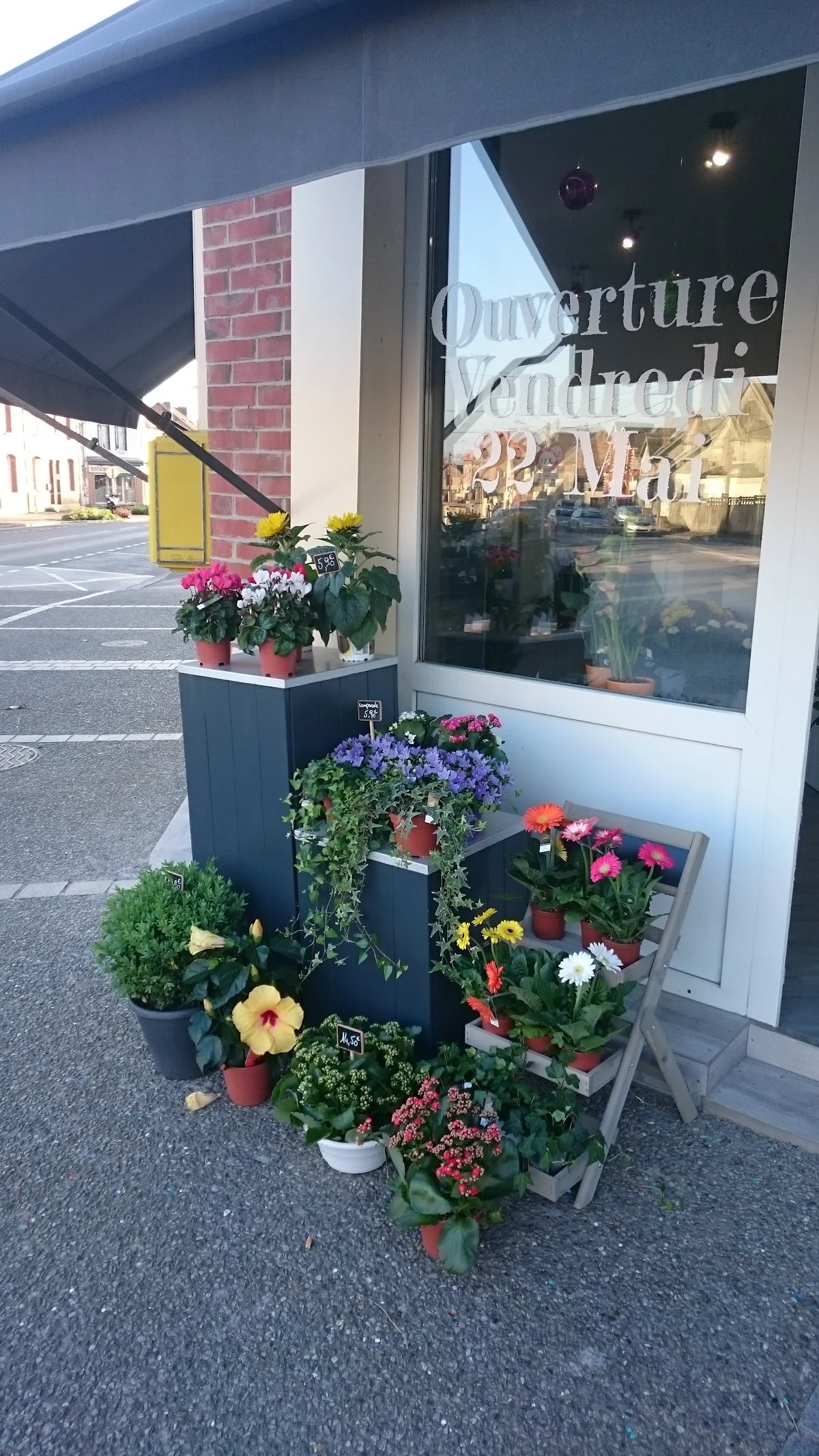 Les Fleurs de Julie - 2