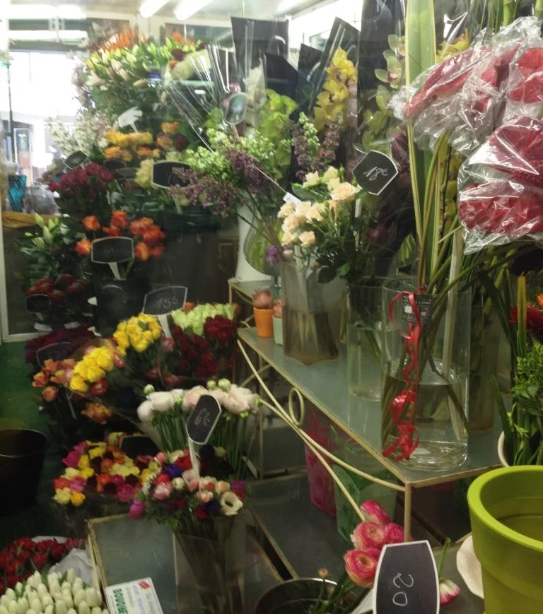 Les Fleurs de la Fontaine - 3