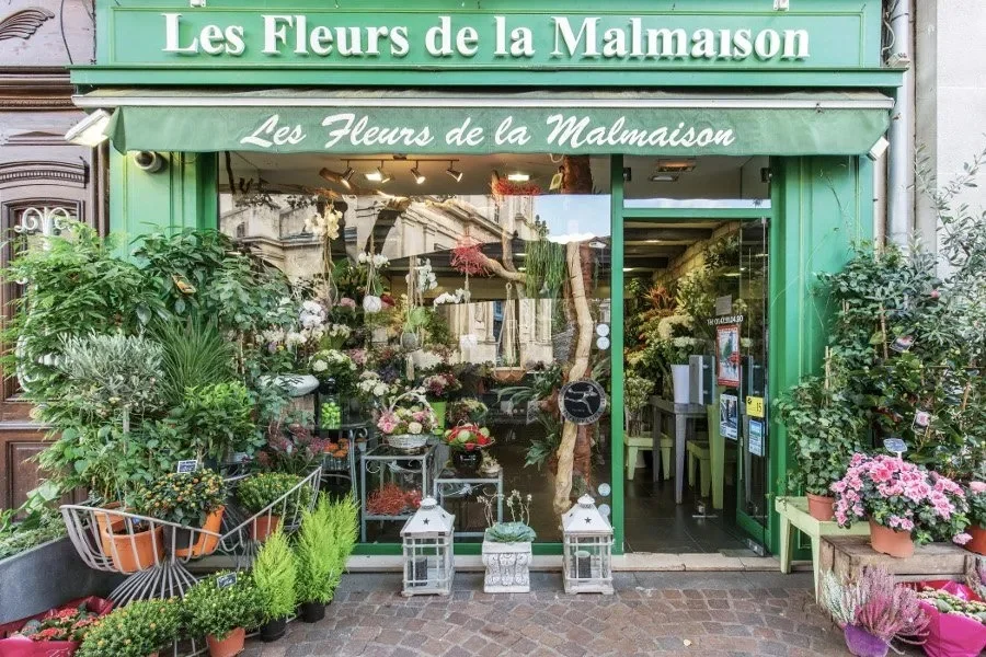 Les Fleurs de la Malmaison