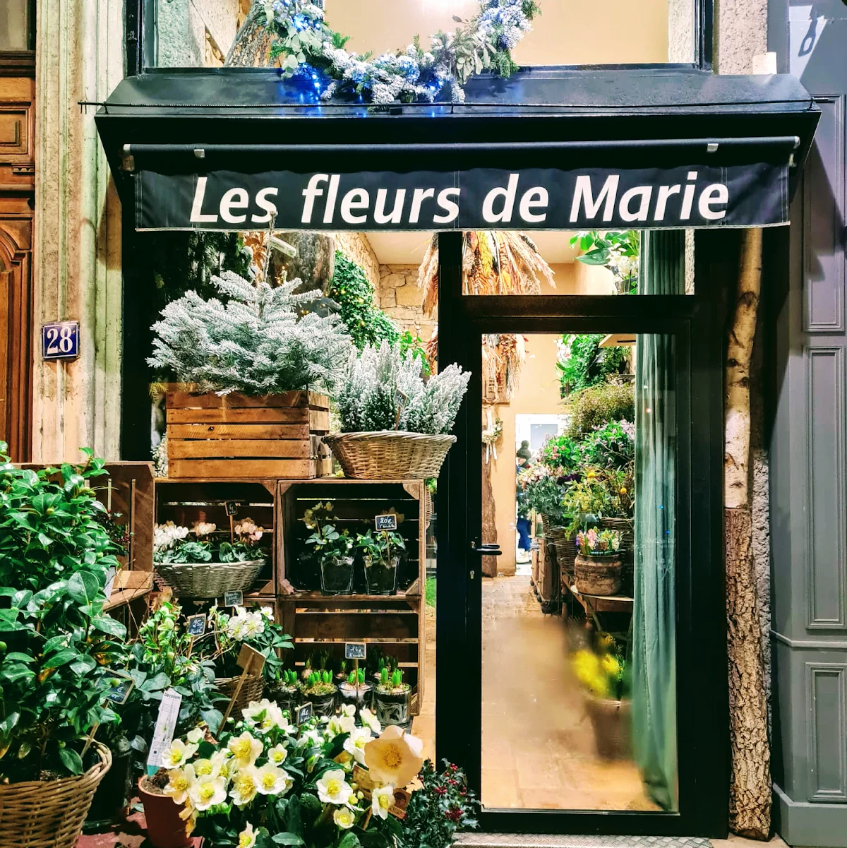 Les Fleurs de Marie - 3